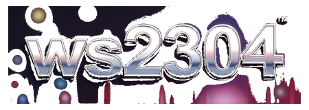 ws2304 logo